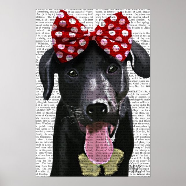 Póster Labrador Negro Con Ojo Rojo En La Cabeza (Frente)