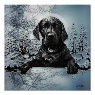 Póster Labrador negro recuperador perrito T-Shirt Pil