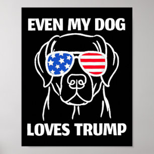 Póster Labrador Perro Sungueras Bandera Estadounidense In