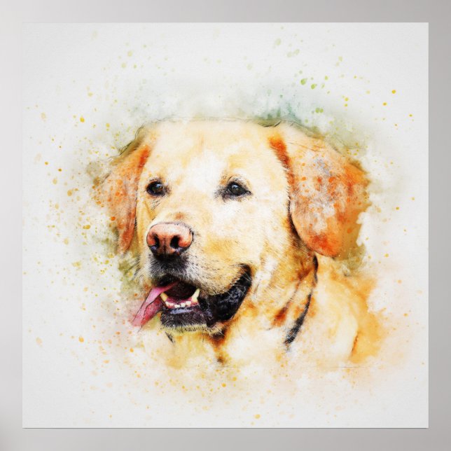 Póster Labrador Poster (Frente)