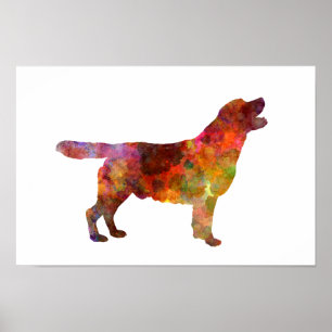 Póster Labrador retriever 01 in watercolor 2