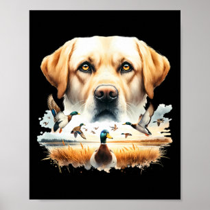Póster Labrador Retriever con patos silbones cazando pato