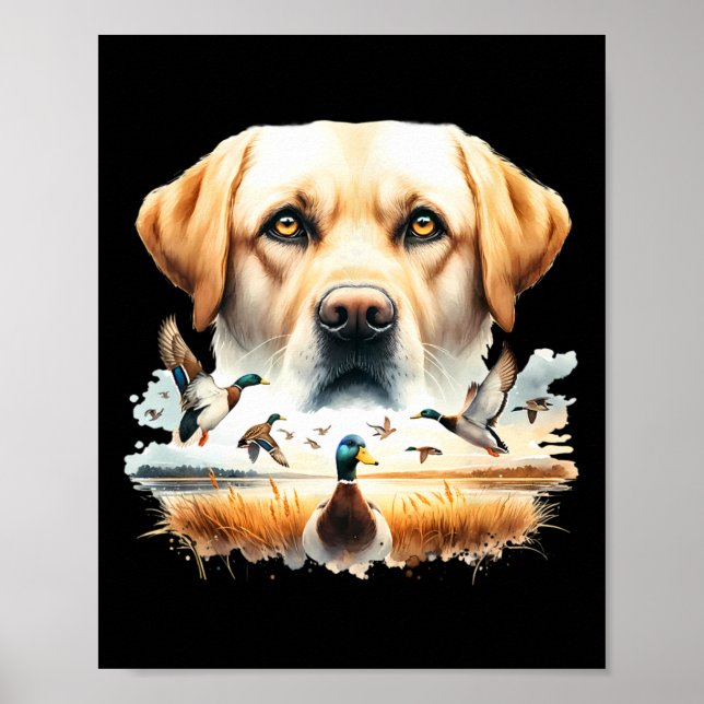 Póster Labrador Retriever con patos silbones cazando pato (Frente)