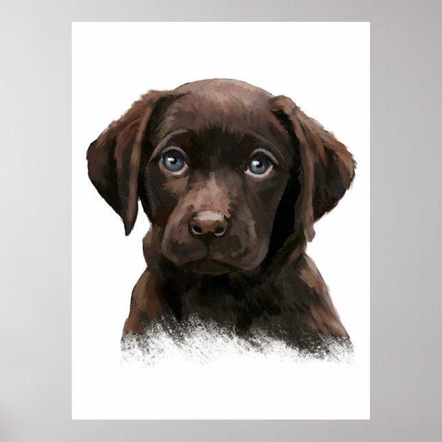 Póster Labrador Retriever de chocolate (Frente)