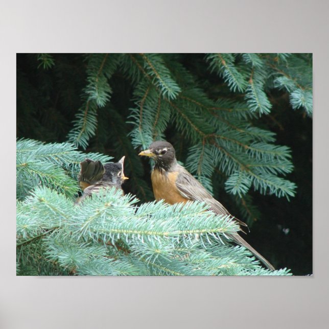 Póster Lactancia (Frente)