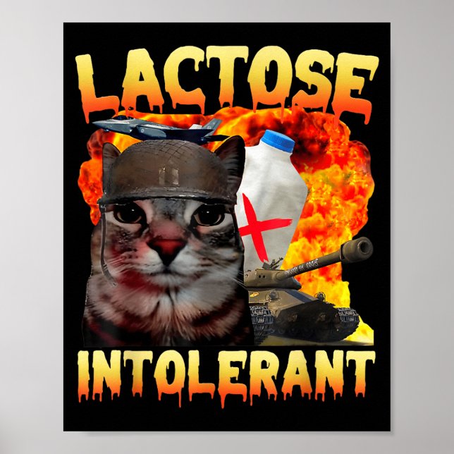 Póster Lactose Intolerant Silly Cat Meme Funny Saying Cat (Frente)