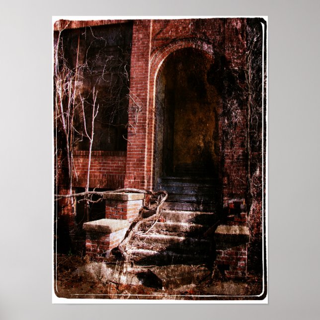 Póster Ladrillo abandonado y vides (Frente)