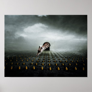 Póster ladrón de tulipán 2 2013