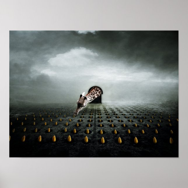 Póster ladrón de tulipán 2 2013 (Frente)