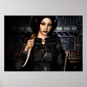 Póster 'Ladrones De Noche Fuera'