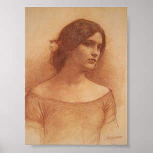 Póster Lady Clare (estudio)