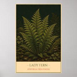 Póster Lady Fern – Vintage Botanical Illustration