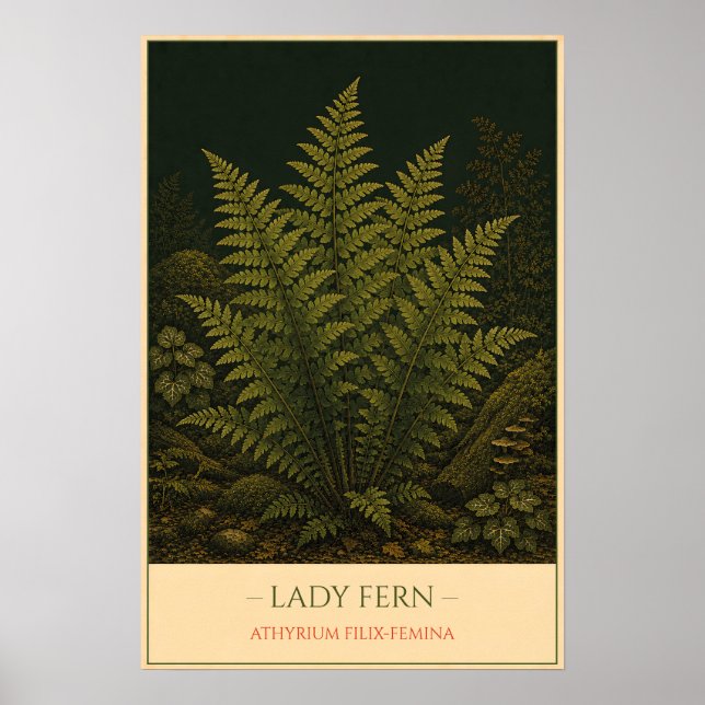 Póster Lady Fern – Vintage Botanical Illustration (Frente)