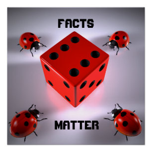 Póster Ladybug