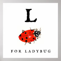 Ladybug