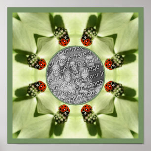 Póster Ladybug En Dogwood Nature Añada Su Foto
