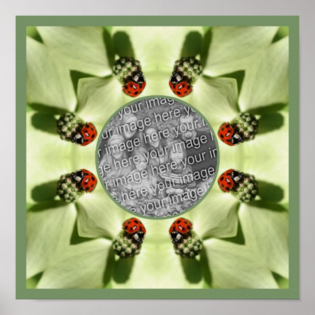 Póster Ladybug En Dogwood Nature Añada Su Foto (Frente)