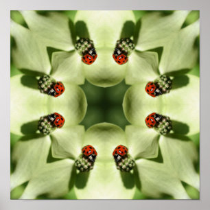 Póster Ladybug En Dogwood Resumen El Espejo De La Natural
