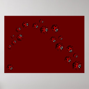 Póster Ladybug Print Ladybird Art Grande Ladybug Poster
