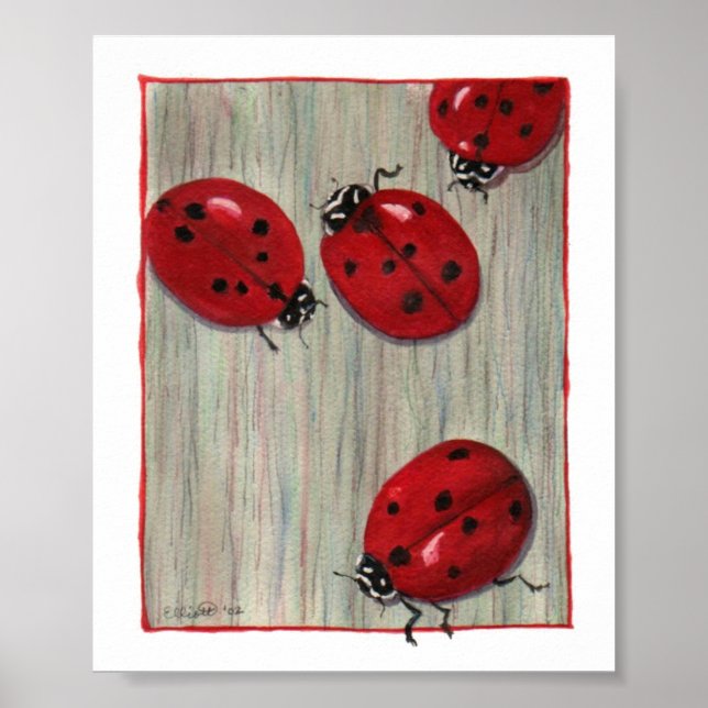 Póster ¡Ladybugs! (Frente)