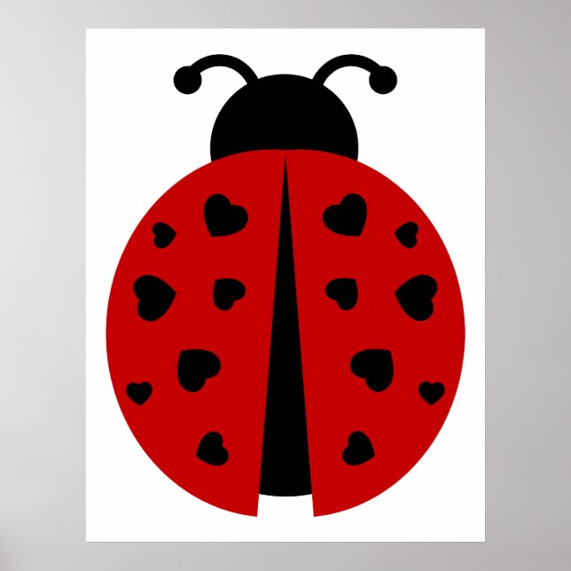 Póster ladybugz. (Frente)