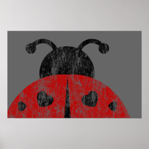 Póster ladybugz.