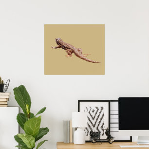 Póster Lagarto