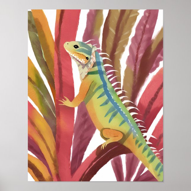 Póster Lagarto del caribe (Frente)
