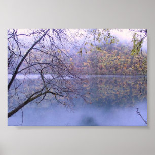 Póster lago