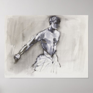 Póster Lago 2001 swan