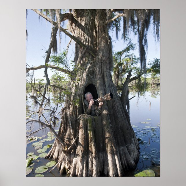 Póster Lago Caddo, ciego de caza (Frente)