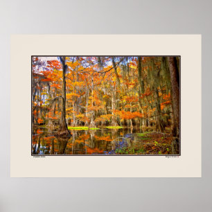 Póster Lago Caddo - Otoño - Texas