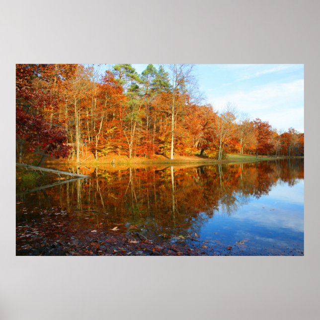 Póster Lago Caída (Frente)