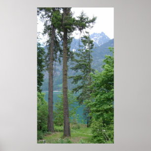 Póster Lago Chelan