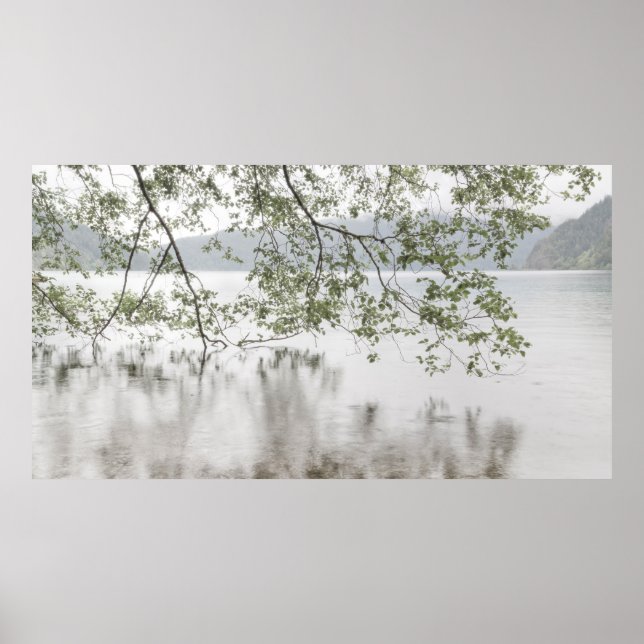Póster Lago Crescent | Parque Nacional Olympic, WA (Frente)