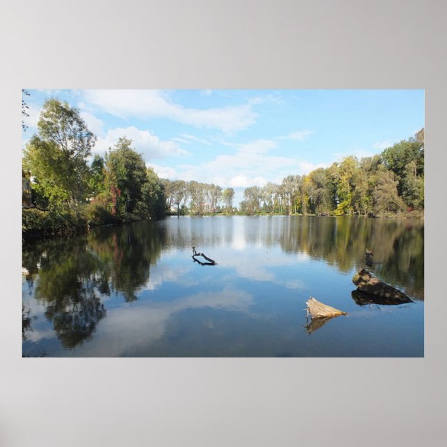 Póster Lago de Árbol (Frente)