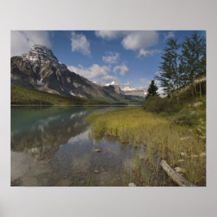 Póster Lago de aves acuáticas a lo largo de la carretera