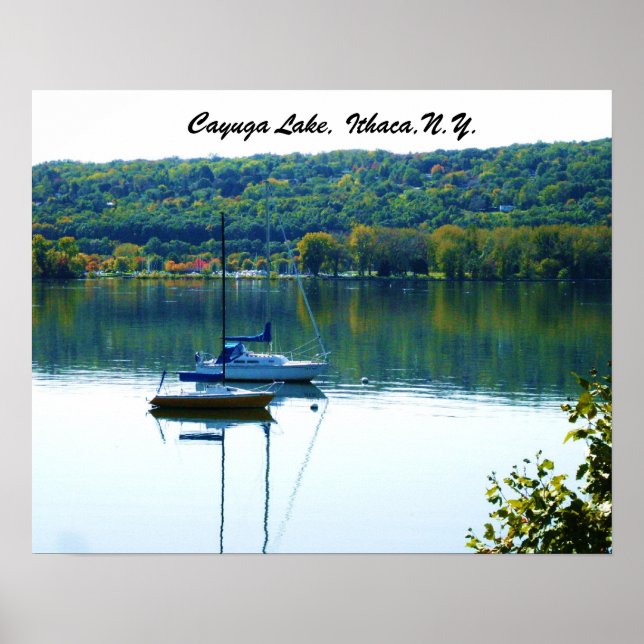 PÓSTER LAGO DE CAYUGA EN OTOÑO (Frente)