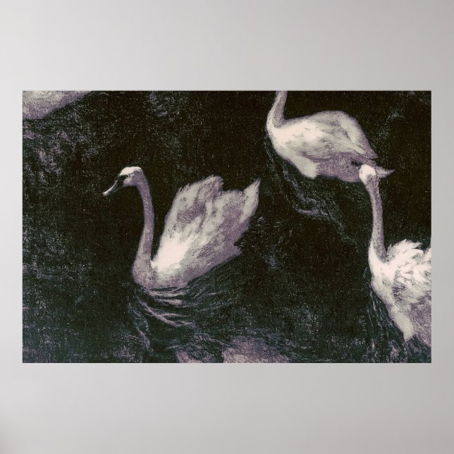 Póster Lago de Cisnes a la Luz de la Luna (Frente)