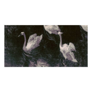 Póster Lago de Cisnes a la Luz de la Luna