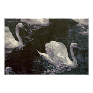 Póster Lago de Cisnes a la Luz de la Luna