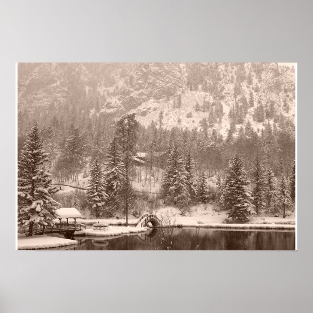 Póster Lago de invierno (Frente)