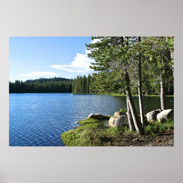 Póster Lago de Montaña, Árboles Pinos, Barco (Frente)