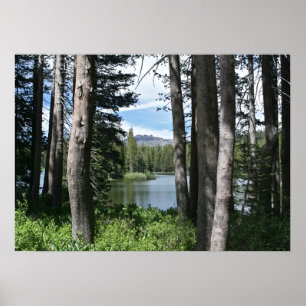 Póster Lago de montaña, bosque