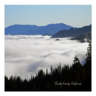 Póster Lago de niebla a través de los árboles...