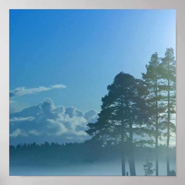 Póster lago de niebla en Finlandia (Frente)