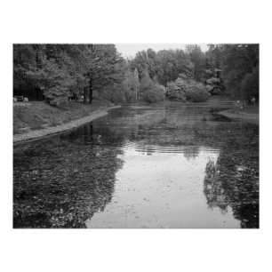 Póster Lago de Otoño Dorado - Edición Nórdica Blanco y Ne