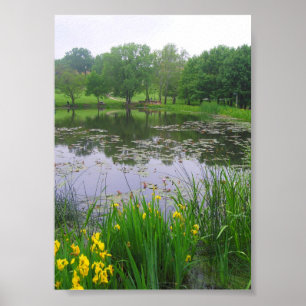 Póster Lago en Lawrence, Kansas