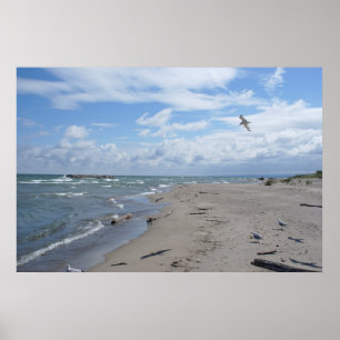 Póster Lago Erie desde la Isla Presque