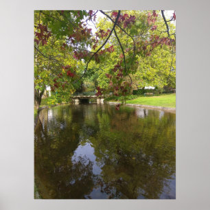 Póster Lago Forestier
